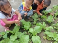 Giờ chơi ngoài trời của các bé lớp ghép 3+4+5 tuổi điểm trường Thượng Nguồn.