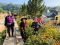 Cán bộ giáo viên và phụ huynh trường chính, trường Mầm non Hữu Sản tổ chức lao động, chỉnh trang khuôn viên nhà trường